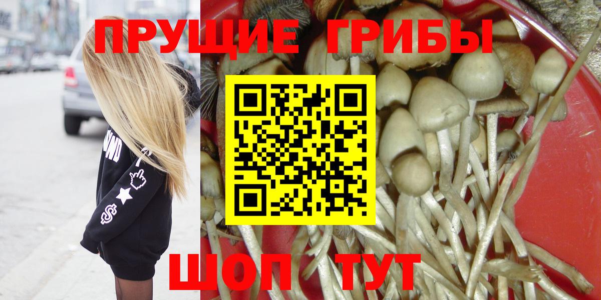 Ишим  хочу   Вход с VPN  Галлюциногенные грибы ЛСД 