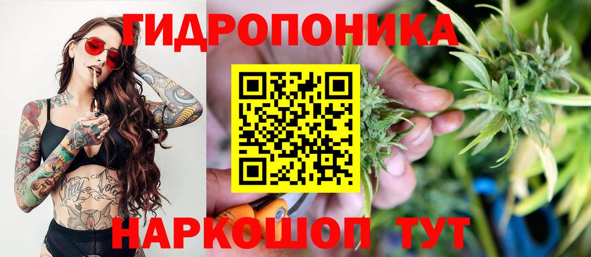 Конопля Bruce Banner  Каннабис VHQ  Вход с VPN  Ишим 